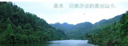 贵州习水桑木镇：清爽静谧的美丽山乡