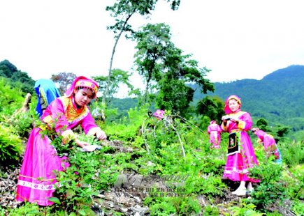 绵阳省大印镇：发展生态产业闯出“致富路”
