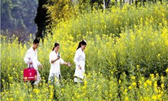 河北沧州400余名乡村医生骨干“充电”