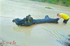 意外:台风＂海马＂过境广东 送来1棵4000年乌木