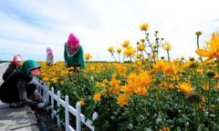 <b>山西惠农“阳光”普照三农</b>