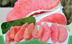 荒山变果园 村民乐开了花