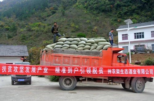 湖北省神农架林区:种植红高粱为村民带来扶贫效益