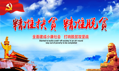 湖北武汉曝光荒唐“精准扶贫”