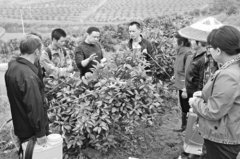 湖南新型农民的探路者：老移民变成新农民