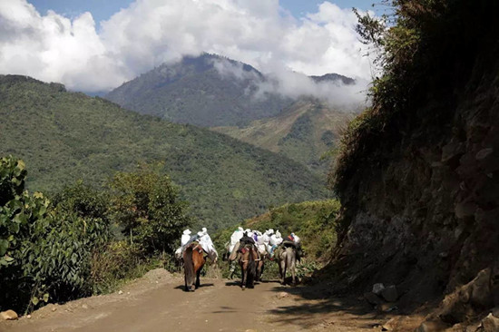 墨脱公路：通向秘境的道路科幻