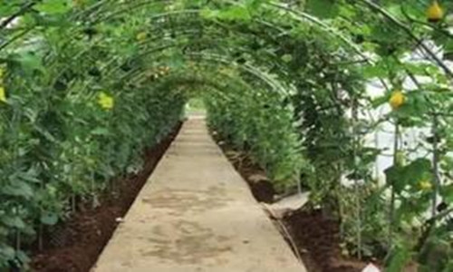 <b>国务院政策大红包 影响几亿人的收入水平</b>