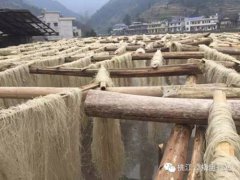 湖南桃江：土特产触“电”成“网红”