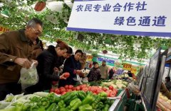 内蒙古林西县：合作社成为农民致富“火车头”