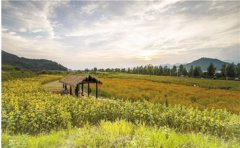 浙江淳安千岛湖 绿道串起全域游