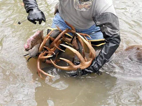 东北农村小媳妇河边钓鱼 却意外获得一笔财富！