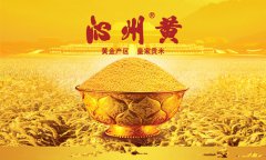 <b>山西特产：沁州黄</b>