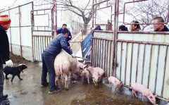 海口贫困户有了新愿望：要带大家一起致富