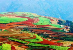 云南出台“意见”培育10000户旅游扶贫示范户 带动脱贫致富