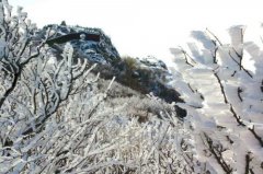 泰山顶上红墙白雪雾凇蓝天相映成趣 美极！