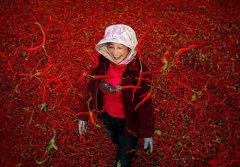 新疆沙湾小伙谢广州：为家乡特产闯出一片天