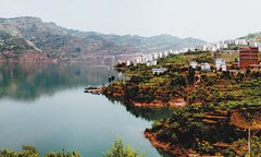 三峡集团：建好一座电站 致富一批移民