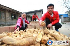 <b>江西吉安：电商助力扶贫 农货进城便捷</b>