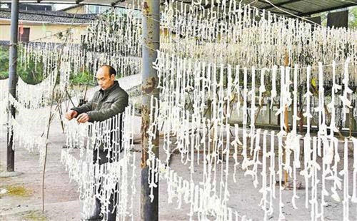 <b>重庆綦江:赶水草蔸萝卜“种”出文化</b>