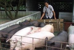 新农村：农业直补，不少农民选择不再进城打工！