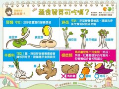 蔬食发芽还能吃吗？这些东西营养更丰富