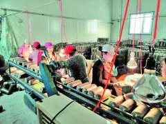 黑龙江阿城贫困户带地入社甜头多