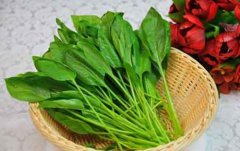 养生：春季老人养生吃什么好 推荐4款美味菜肴