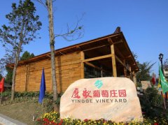 鹰歌葡萄庄园熊纯华：不忘初心 带领更多人致富