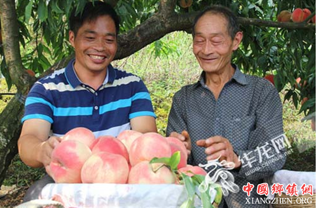 <b>四川：武隆农产品“养在深闺也有人识” 武隆实现农村电商全覆盖</b>