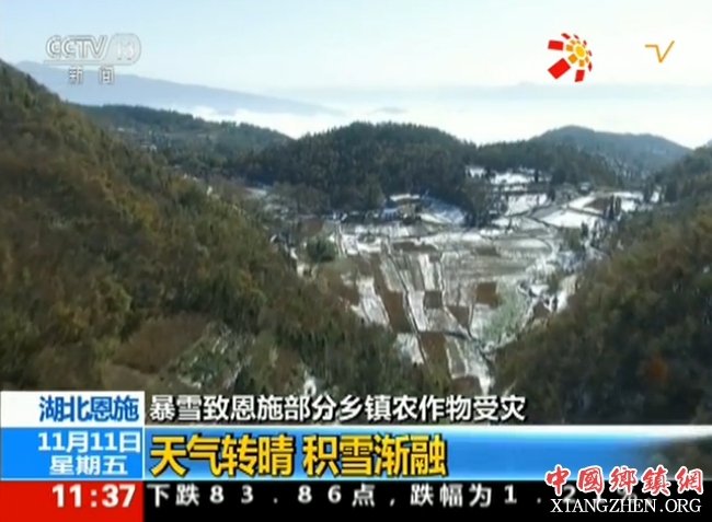 暴雪致湖北恩施部分乡镇农作物受灾