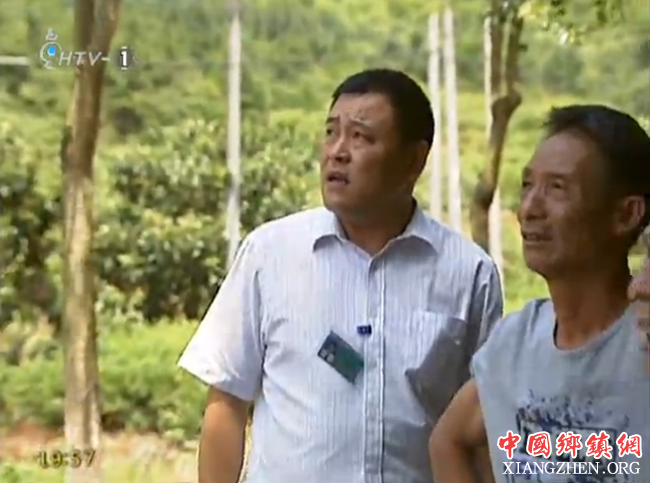杭州党建 最美乡镇干部