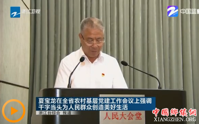 浙江农村基层党建工作如何发力 看“管家们”怎么说