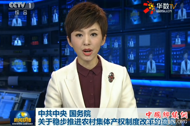 中共中央国务院关于稳步推进农村集体产权制度改革的意见