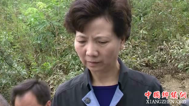 贫困乡镇向全面小康迈进