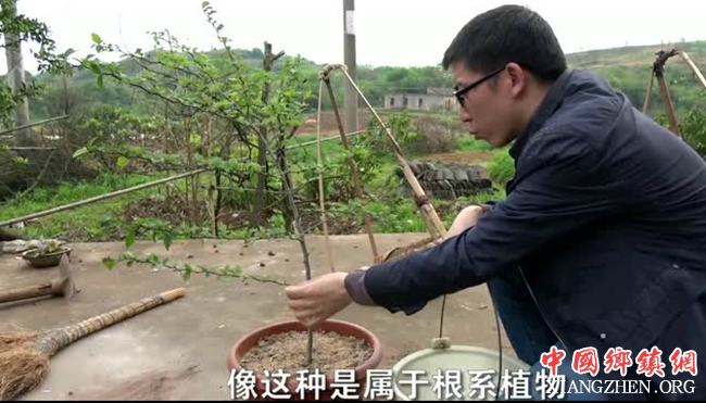 农村小伙异想天开，将山里植物当宝贝，结果梦想成真