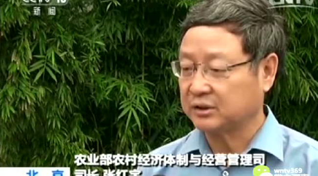 农村承包地，确权已经完成80%