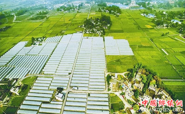 <b>农业供给侧结构性改革的政治经济学分析</b>