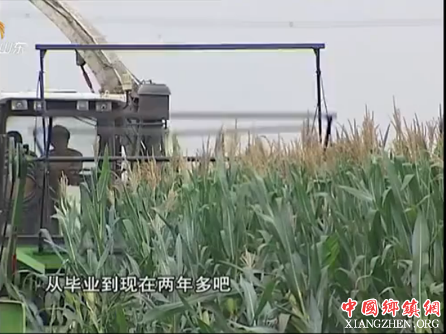 高级职业农民 让知识闪耀农村