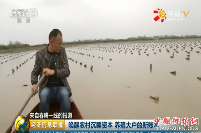 唤醒农村沉睡资本 养殖大户的新账本