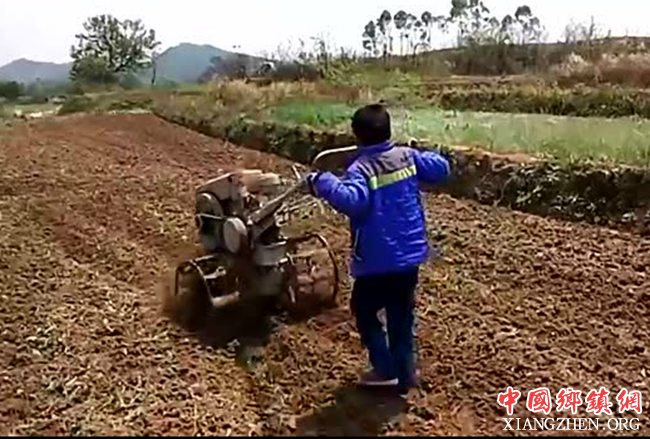 农村小孩的“业余生活”，小小年纪就已经懂事