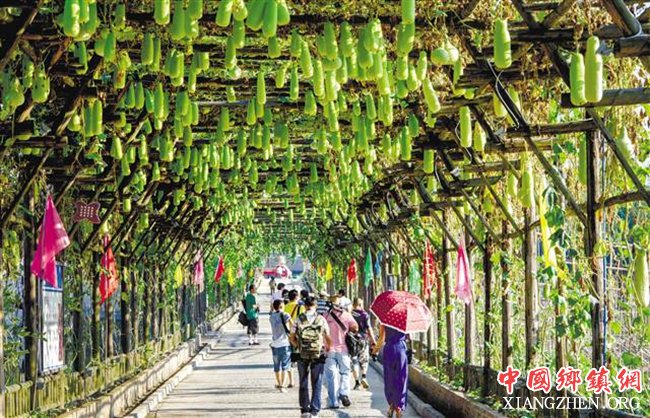 <b>重庆：綦江 建设宜居宜业宜游美丽乡村</b>