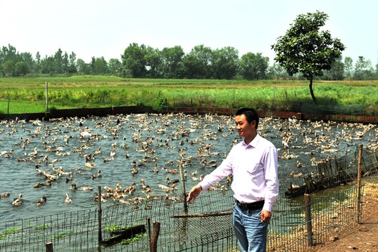 “鸭司令”张永宜：扎根农村 带乡亲们致富