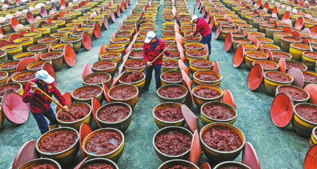 成都郫都区：传统工艺加工酿造豆瓣