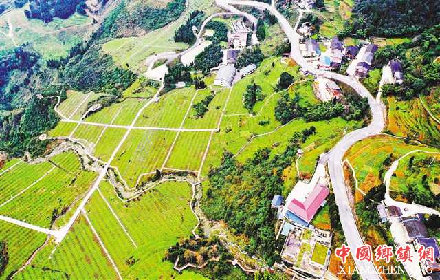 <b>重庆黑山镇：田间便道 四通八达</b>