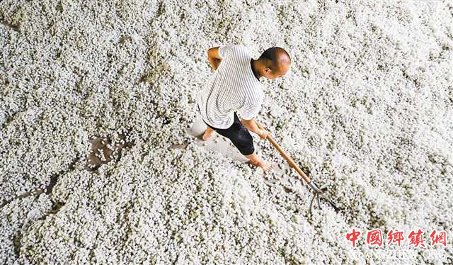 <b>立体农业带来增收“新门路”</b>