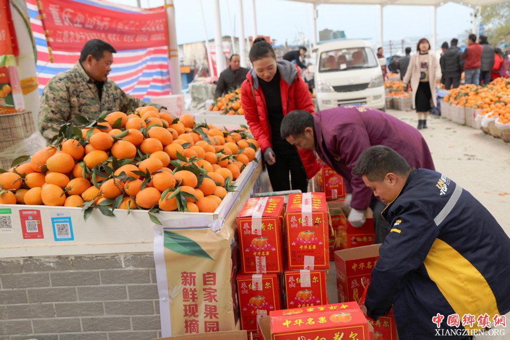 <b>重庆巫山曲尺柑橘在古城码头水果交易中心火销</b>
