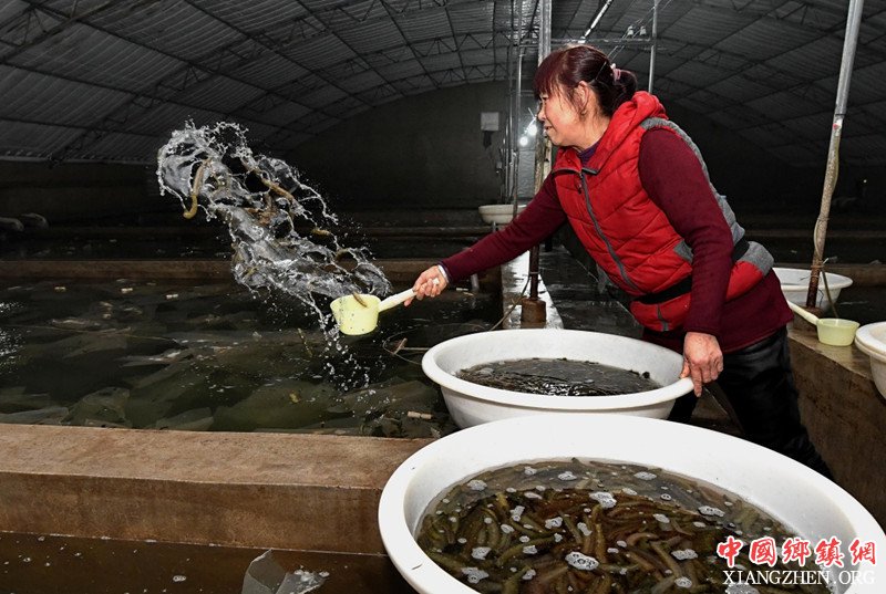 河北乐亭：海产品工厂化养殖助农增收