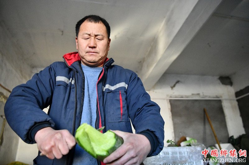 沙窝老郭 萝卜致富