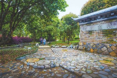 <b>福建：桂花为媒“种”出特色小镇</b>