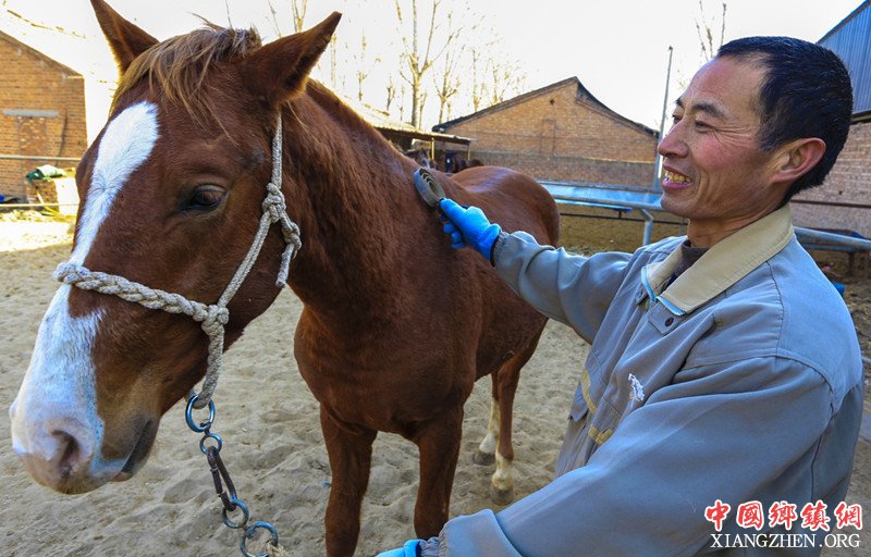 <b>河北安平：特色产业让农户走上致富路</b>